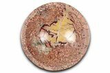 Polished Saharan Desert Jasper Dish - Morocco #349390-1